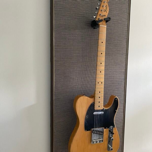 akoestisch paneel met gitaar aan haak