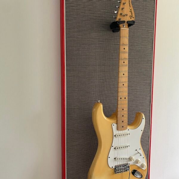 Akoestisch paneel met gitaar aan haak