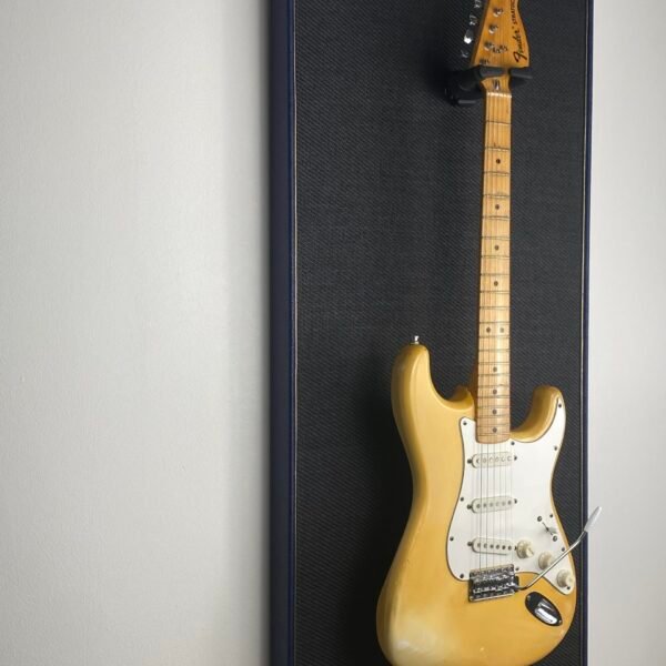 Akoestisch paneel met gitaar aan haak