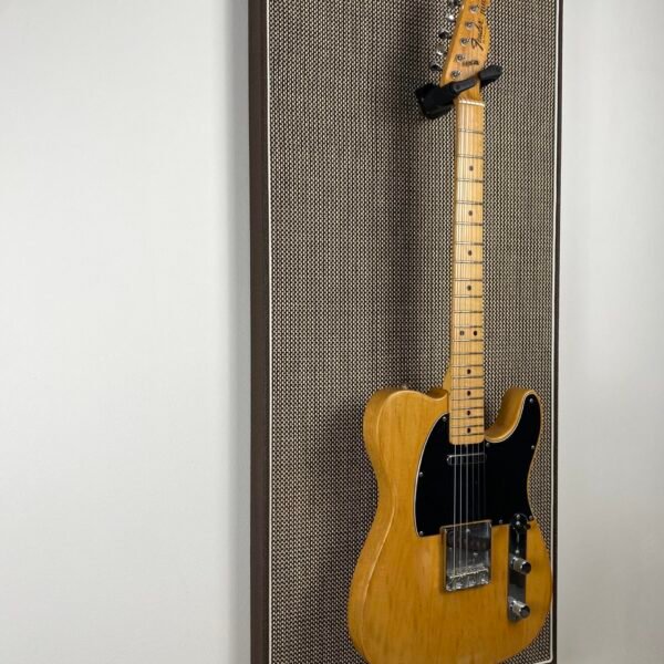 Akoestisch paneel met gitaar aan haak