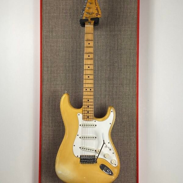 Akoestisch paneel met gitaar aan haak