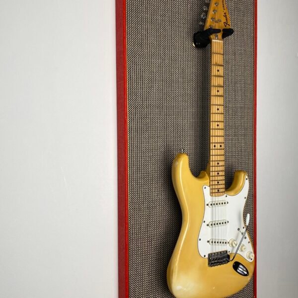 Akoestisch paneel met gitaar aan haak