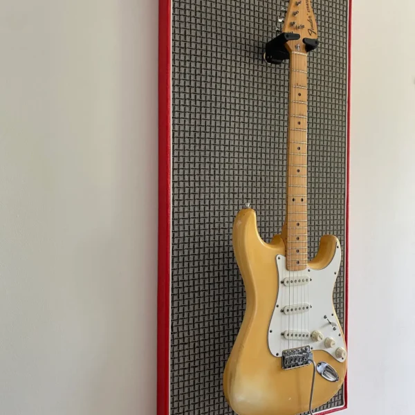 Gitaar aan haak op akoestisch paneel