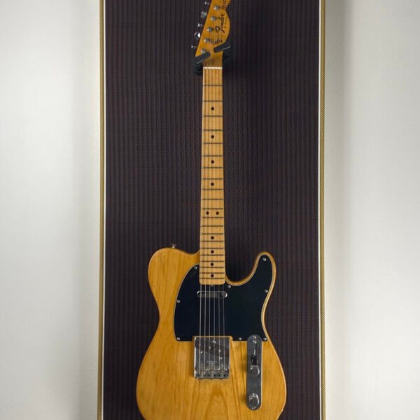 Akoestisch paneel met gitaar aan haak