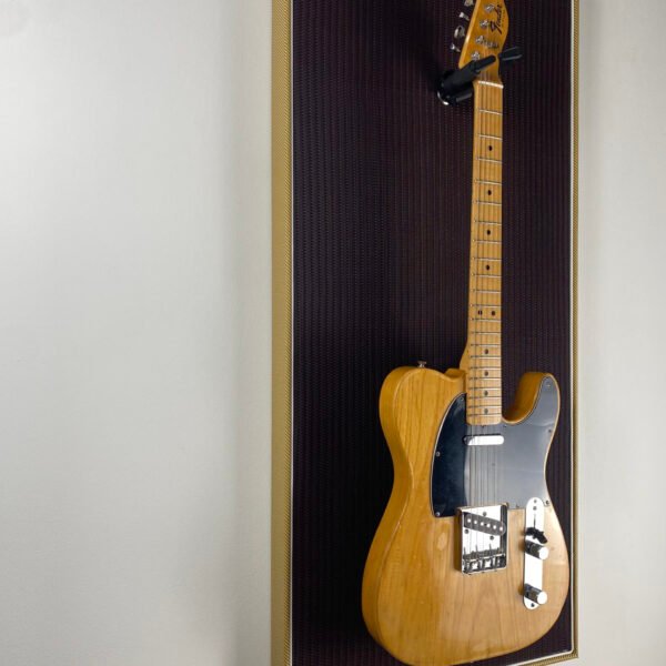 Akoestisch paneel met gitaar aan haak