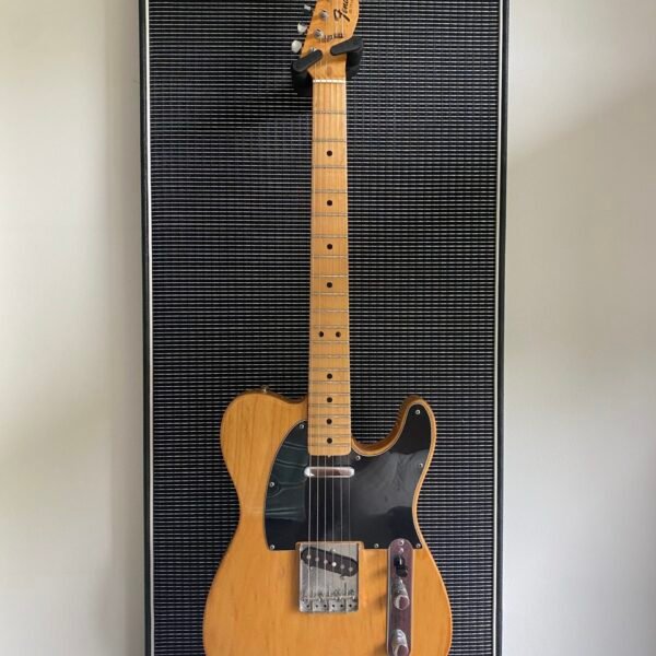 Akoestisch paneel met gitaar aan haak