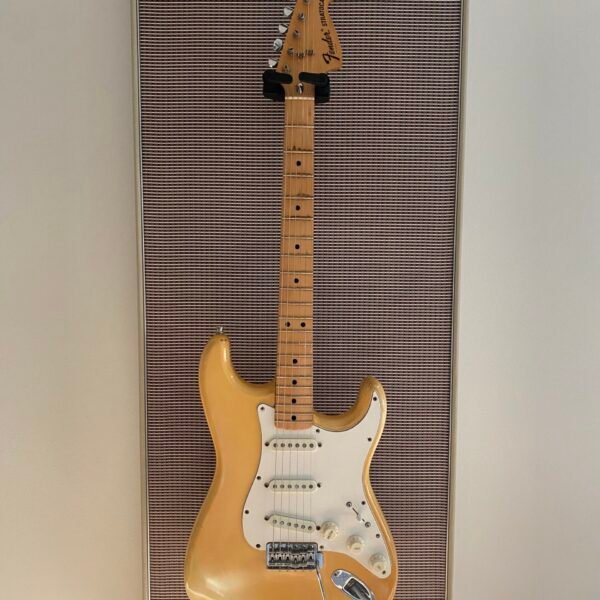 Akoestisch paneel met gitaar aan haak