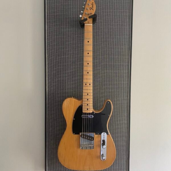 Akoestische paneel met gitaar aan haak