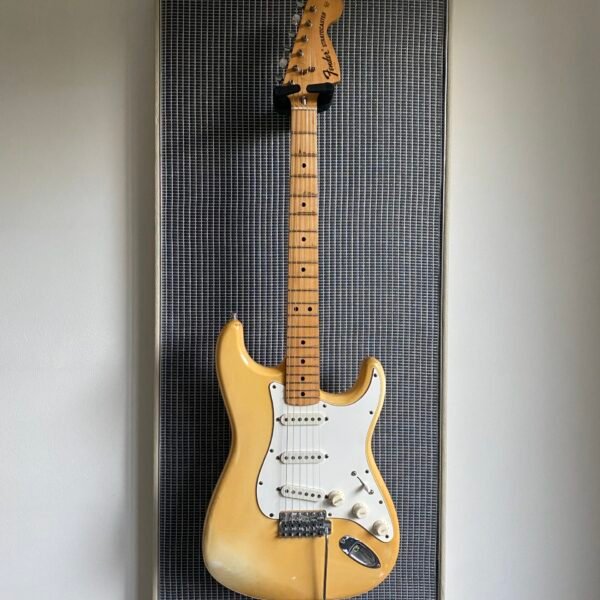 akoestisch paneel met gitaar aan haak