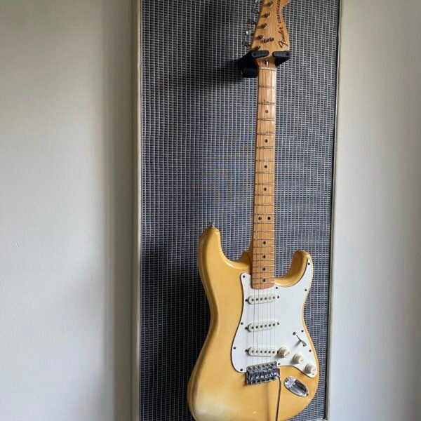 akoestisch paneel met gitaar aan haak