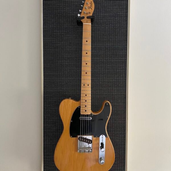 Akoestisch paneel met gitaar aan haak