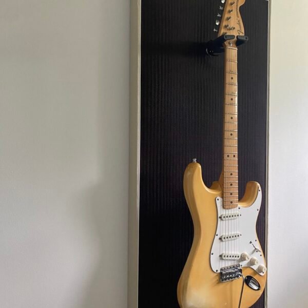 Akoestisch paneel met gitaar aan haak