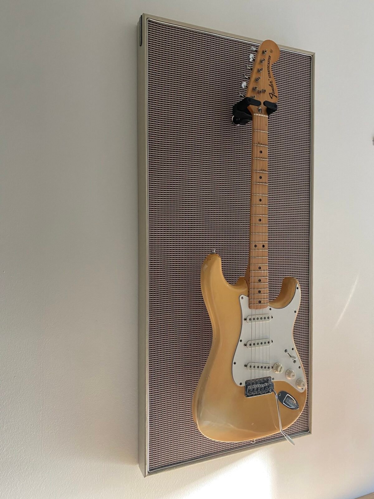 Akoestisch paneel met gitaar aan haak