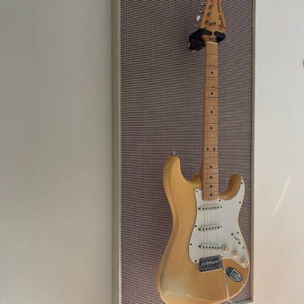 Akoestisch paneel met gitaar aan haak