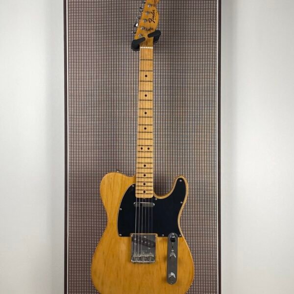 F-Style CabPanel Cocoa Coffee front Guitar Akoestisch paneel met gitaar aan haak