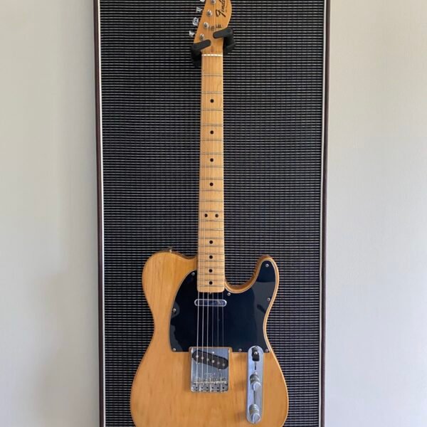 Akoestisch paneel met gitaar aan haak