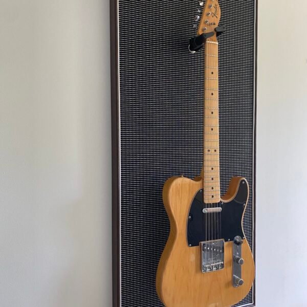 Akoestisch paneel met gitaar aan haak