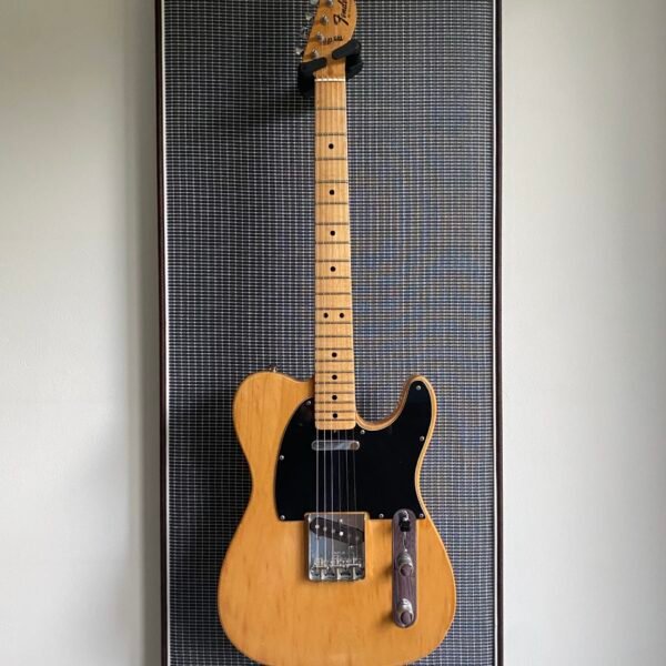 Akoestisch paneel met gitaar aan haak