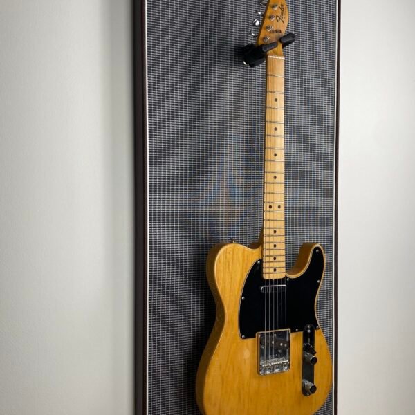 Akoestisch paneel met gitaar aan haak