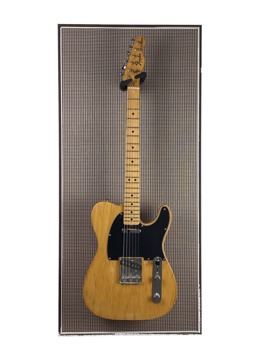 Akoestisch paneel met gitaar aan haak