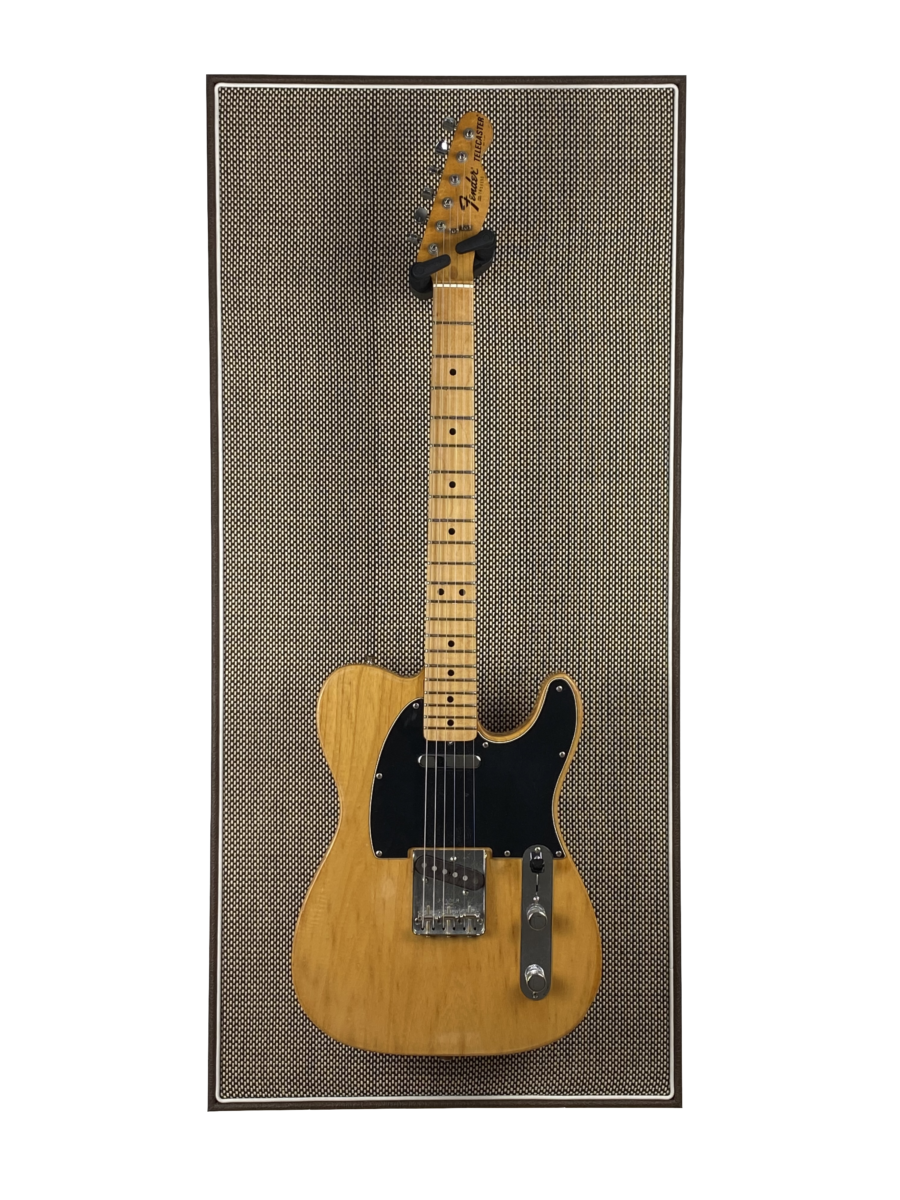 Akoestisch paneel met gitaar aan haak