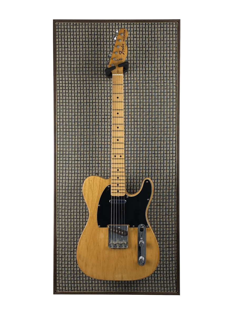 Akoestisch paneel met gitaar aan haak