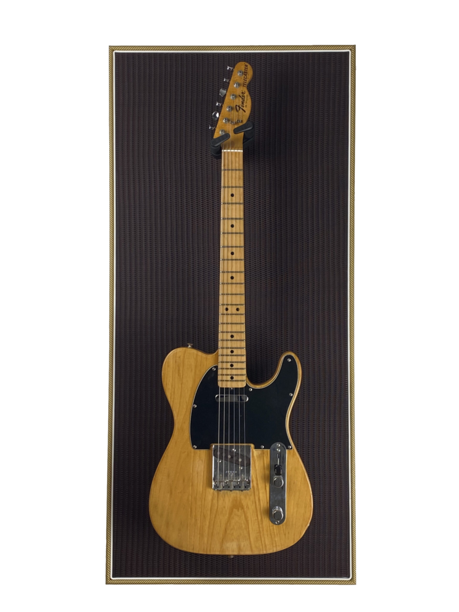 Akoestisch paneel met gitaar aan haak